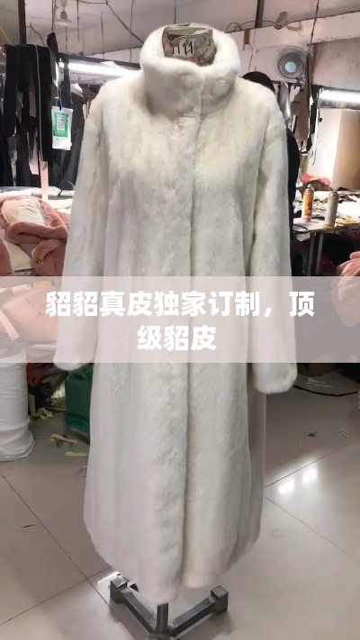 貂貂真皮獨(dú)家訂制，頂級貂皮 