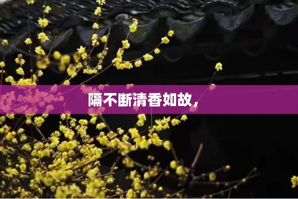 隔不斷清香如故， 