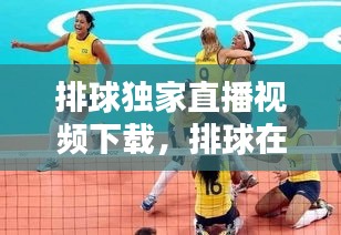 排球獨(dú)家直播視頻下載，排球在線直播免插件 