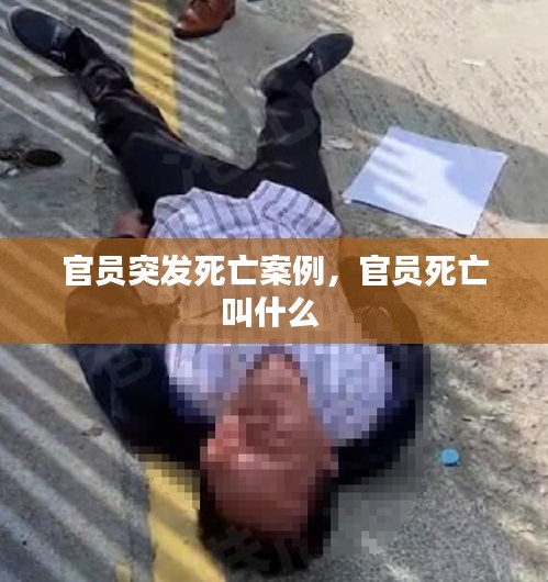 官員突發(fā)死亡案例，官員死亡叫什么 