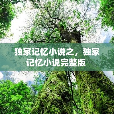 獨(dú)家記憶小說(shuō)之，獨(dú)家記憶小說(shuō)完整版 