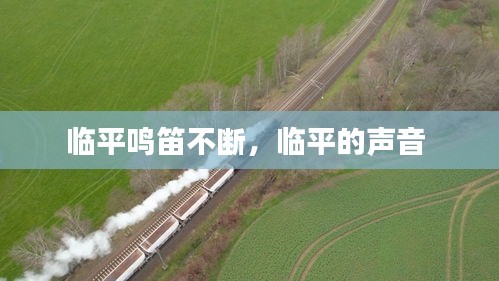 臨平鳴笛不斷，臨平的聲音 
