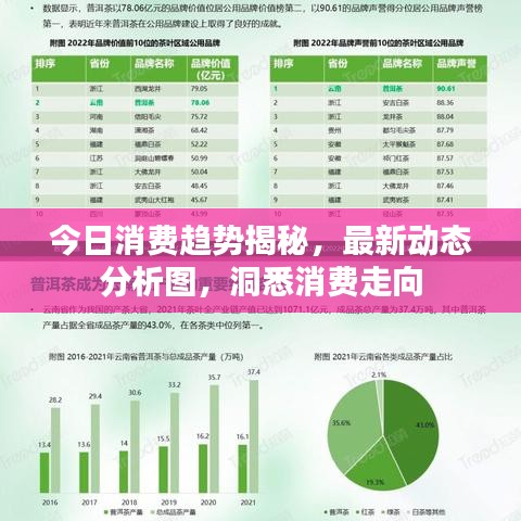今日消費趨勢揭秘，最新動態(tài)分析圖，洞悉消費走向