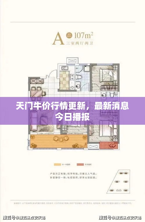 天門牛價(jià)行情更新，最新消息今日播報(bào)