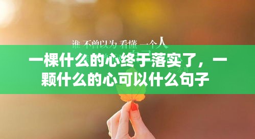 一棵什么的心終于落實了，一顆什么的心可以什么句子 