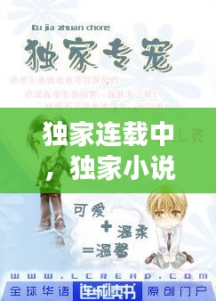 獨(dú)家連載中，獨(dú)家小說什么意思 