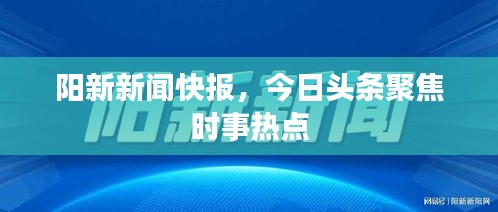 陽新新聞快報，今日頭條聚焦時事熱點