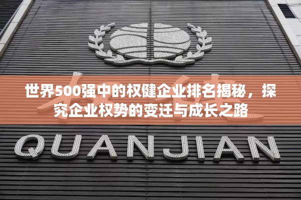 世界500強中的權健企業(yè)排名揭秘，探究企業(yè)權勢的變遷與成長之路