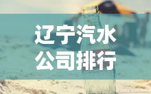遼寧汽水公司排行榜揭曉，誰領(lǐng)風(fēng)騷？