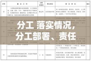 分工 落實(shí)情況，分工部署、責(zé)任落實(shí) 