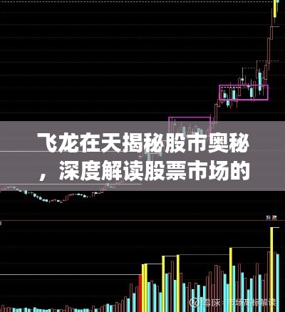 飛龍在天揭秘股市奧秘，深度解讀股票市場的風(fēng)云變幻
