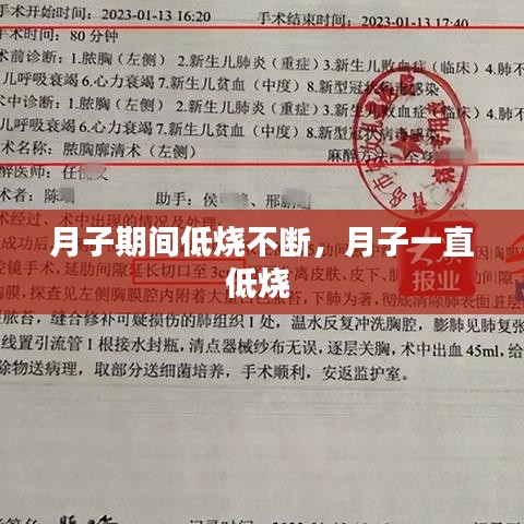 政策法規(guī) 第13頁