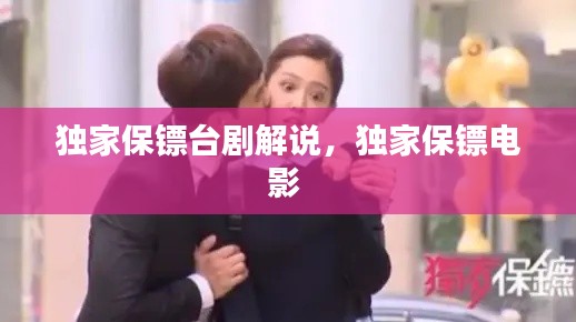 獨家保鏢臺劇解說，獨家保鏢電影 