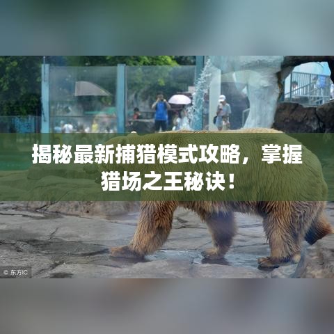 揭秘最新捕獵模式攻略，掌握獵場之王秘訣！