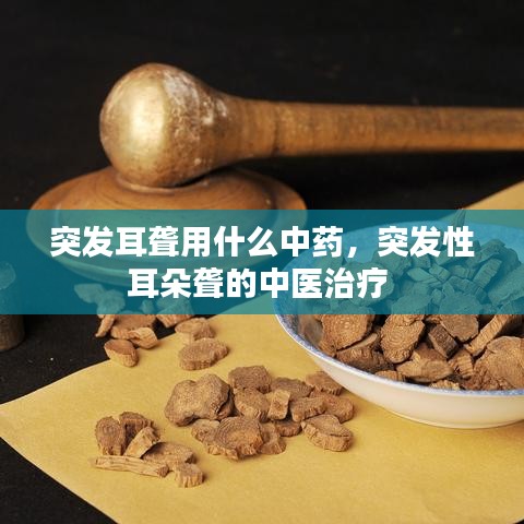 突發(fā)耳聾用什么中藥，突發(fā)性耳朵聾的中醫(yī)治療 