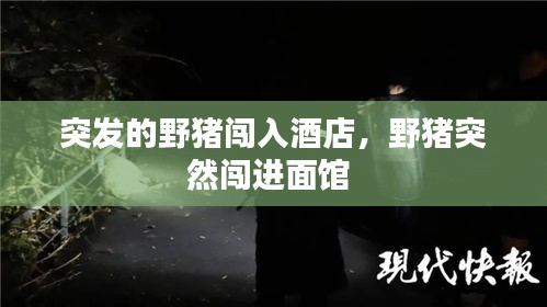 在線留言 第10頁