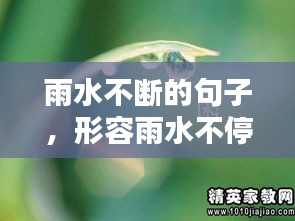 雨水不斷的句子，形容雨水不停的四字詞語 