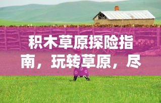 積木草原探險(xiǎn)指南，玩轉(zhuǎn)草原，盡享樂趣！