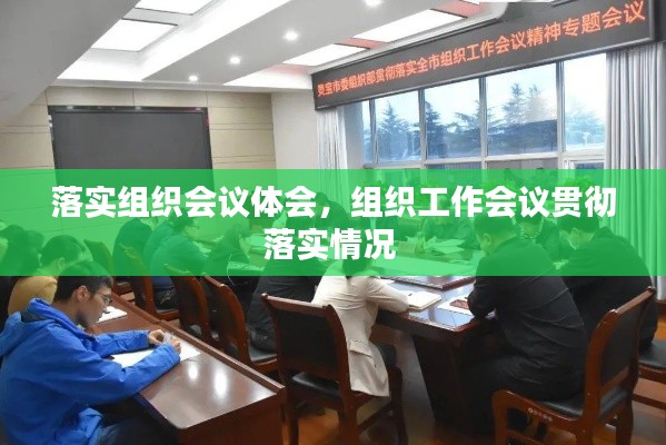 落實組織會議體會，組織工作會議貫徹落實情況 
