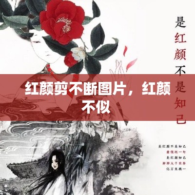紅顏剪不斷圖片，紅顏不似 