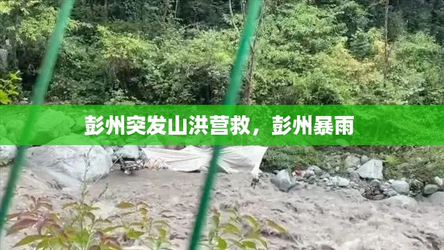 彭州突發(fā)山洪營救，彭州暴雨 