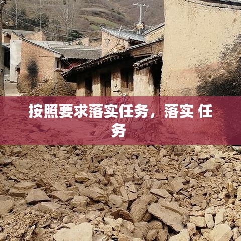 按照要求落實任務，落實 任務 
