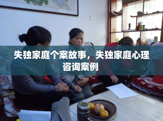 失獨(dú)家庭個(gè)案故事，失獨(dú)家庭心理咨詢案例 