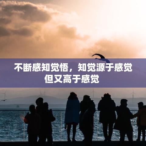 不斷感知覺悟，知覺源于感覺但又高于感覺 