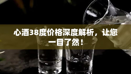 心酒38度價格深度解析，讓您一目了然！