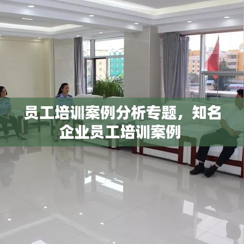 員工培訓(xùn)案例分析專題，知名企業(yè)員工培訓(xùn)案例 