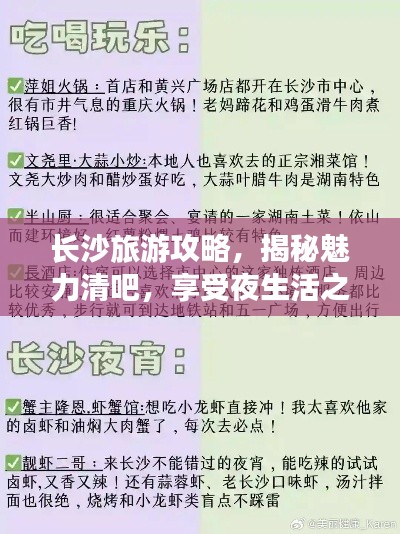長沙旅游攻略，揭秘魅力清吧，享受夜生活之旅！