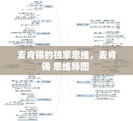 麥肯錫的獨(dú)家思維，麥肯錫 思維導(dǎo)圖 