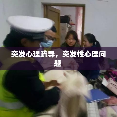 突發(fā)心理疏導(dǎo)，突發(fā)性心理問題 