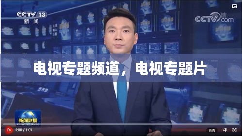 電視專題頻道，電視專題片 