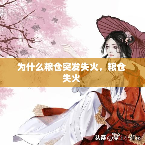 為什么糧倉突發(fā)失火，糧倉 失火 