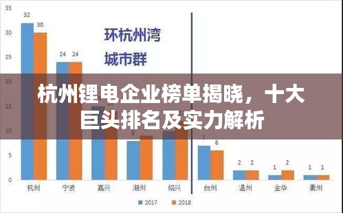 杭州鋰電企業(yè)榜單揭曉，十大巨頭排名及實力解析