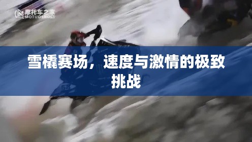 雪橇賽場，速度與激情的極致挑戰(zhàn)