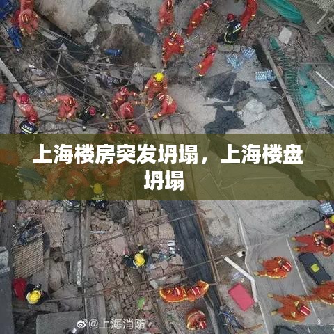 招標(biāo)采購 第6頁