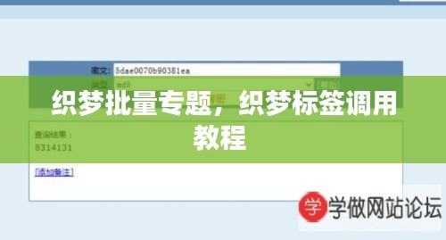 織夢批量專題，織夢標(biāo)簽調(diào)用教程 