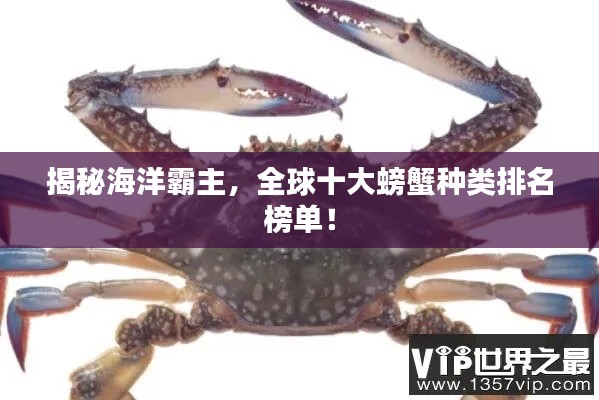 揭秘海洋霸主，全球十大螃蟹種類排名榜單！