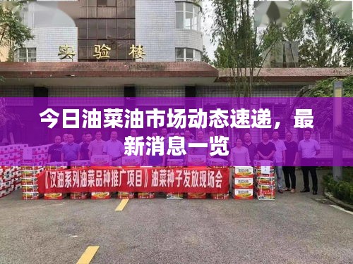 今日油菜油市場(chǎng)動(dòng)態(tài)速遞，最新消息一覽