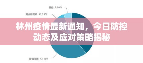 林州疫情最新通知，今日防控動(dòng)態(tài)及應(yīng)對策略揭秘