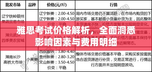 雅思考試價(jià)格解析，全面洞悉影響因素與費(fèi)用明細(xì)