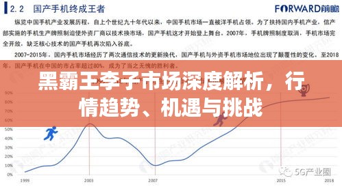 黑霸王李子市場深度解析，行情趨勢、機(jī)遇與挑戰(zhàn)