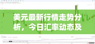 美元最新行情走勢分析，今日匯率動態(tài)及市場解讀
