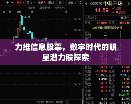 力維信息股票，數(shù)字時代的明星潛力股探索