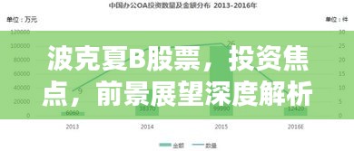 波克夏B股票，投資焦點，前景展望深度解析