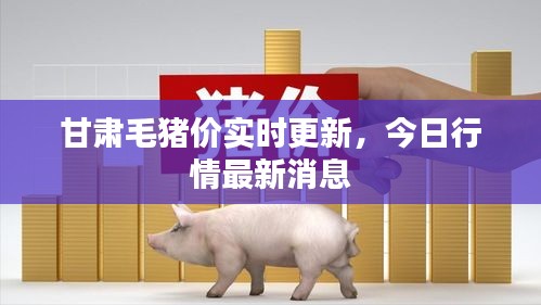 甘肅毛豬價實時更新，今日行情最新消息