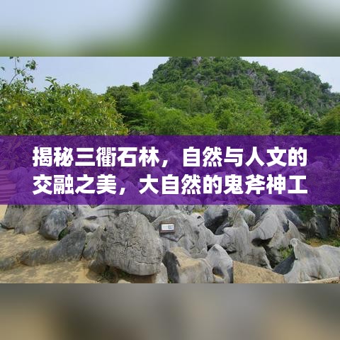 揭秘三衢石林，自然與人文的交融之美，大自然的鬼斧神工欣賞