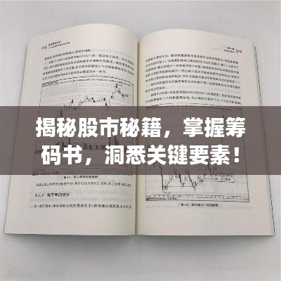 揭秘股市秘籍，掌握籌碼書，洞悉關(guān)鍵要素！